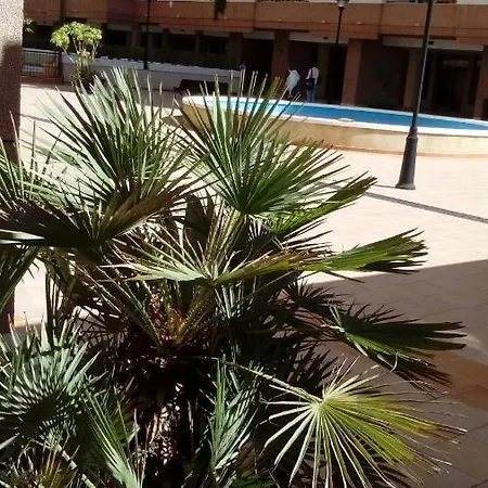 Maravilloso Apartamento En La Playa En Capital Apartment *